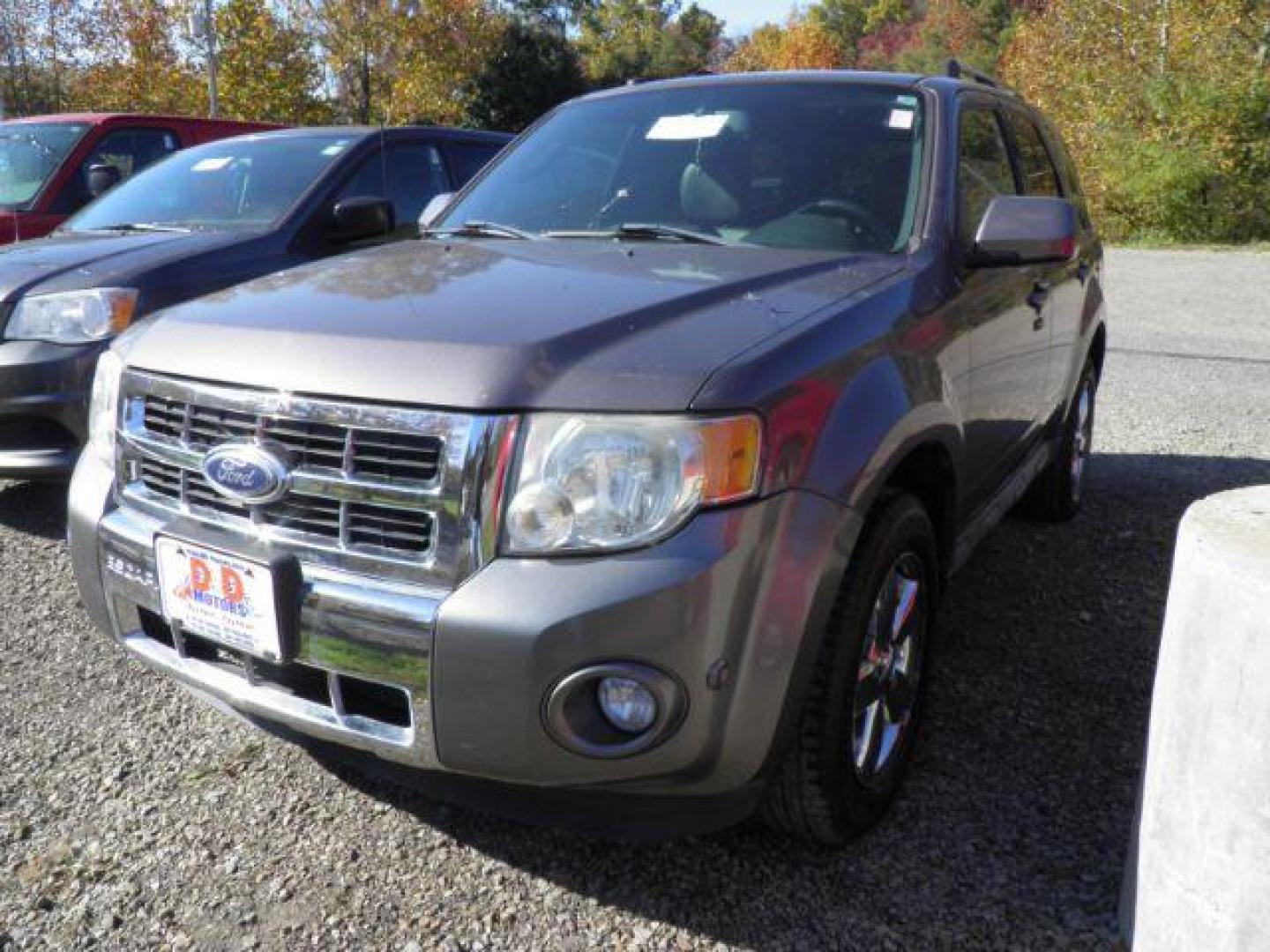 2010 GRAY Ford Escape Limited 4WD (1FMCU9EG6AK) with an 3.0 V6 engine, AT transmission, located at 19521 New George's Creek Rd SW, Barton, MD, 21521, (301) 463-2404, 39.524323, -79.017906 - Photo#0